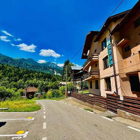 Pensiunea Roua Sinaia Exteriör bild