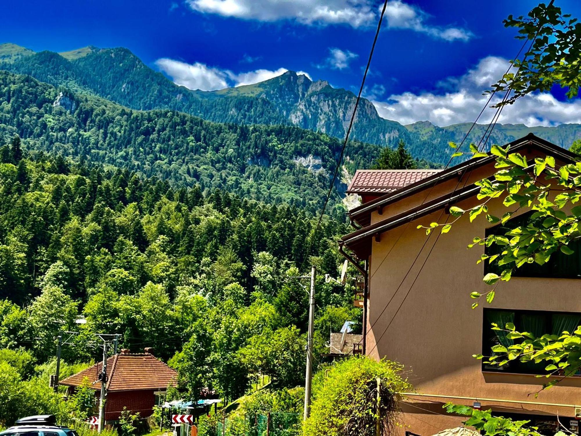 Pensiunea Roua Sinaia Exteriör bild